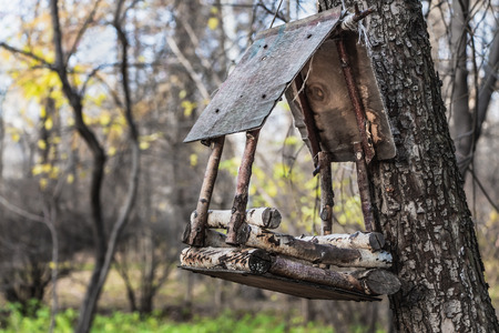 An old bird feeder house from brown plywood and birch twigs hangs on a gray tree in a park in autumnの写真素材