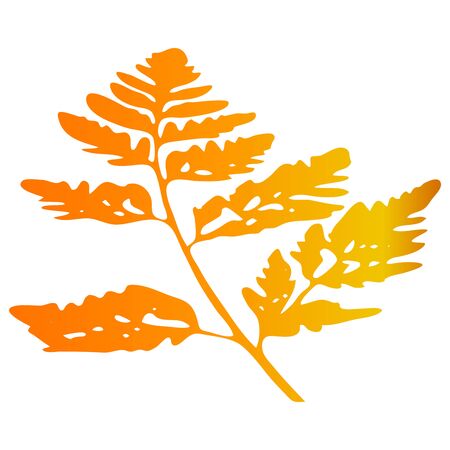 A vector Illustration of an orange carved fall leaf isolated on a white backgroundのイラスト素材