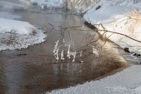 The River and Brown branches covered with white fluffy snow are in winter day in the forestの写真素材