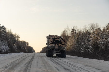 A Log truck is on the snowy road in winter day