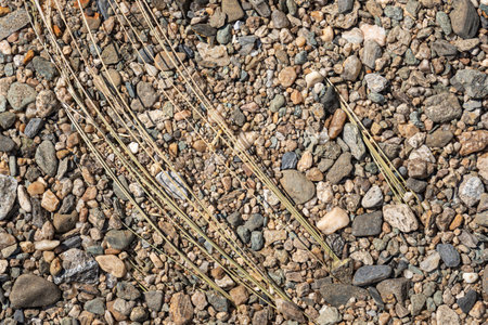 A beautiful square texture of gray and orange broken stone can be used for background