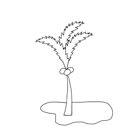 A Black vector illustration of a big Cocos nucifera palm with coconuts on the white backgroundのイラスト素材