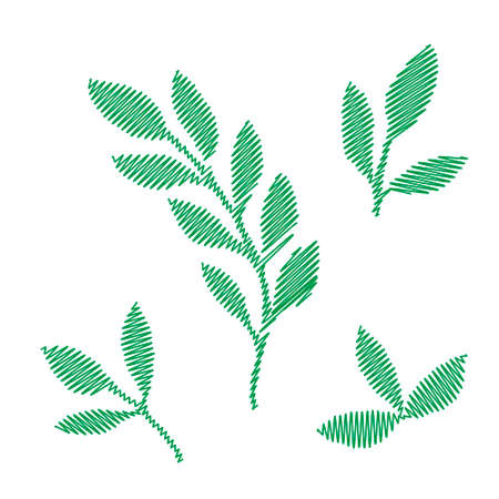 An Illustration of a green branch with leaves isolated on a white backgroundのイラスト素材