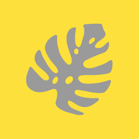 Illustration of a gray leaf monstera isolated on a yellow backgroundのイラスト素材