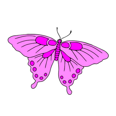 A Hand-drawn black vector illustration of one pink Swallowtail butterfly is flying on a white backgroundのイラスト素材