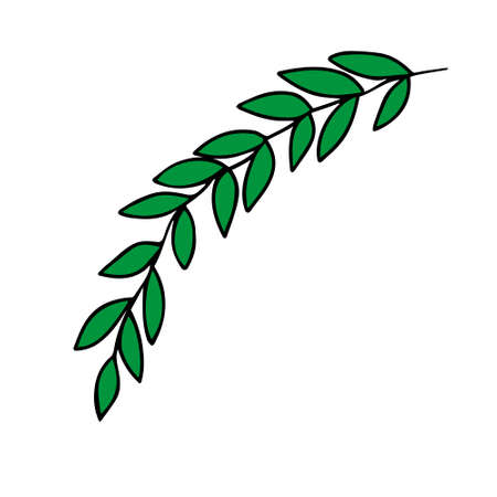 A Vector Illustration of a green tropical palm leaf isolated on a white backgroundのイラスト素材