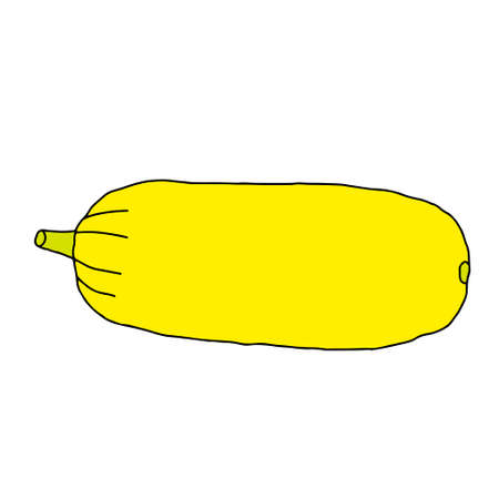 A Vector outline illustration of a fresh yellow zucchini isolated on a white backgroundのイラスト素材