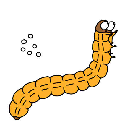 A Hand-drawn black vector illustration of one orange caterpillar cabbage butterfly is on a white backgroundのイラスト素材