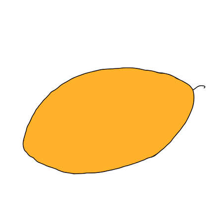 A Vector outline illustration of one fresh orange melon isolated on a white backgroundのイラスト素材