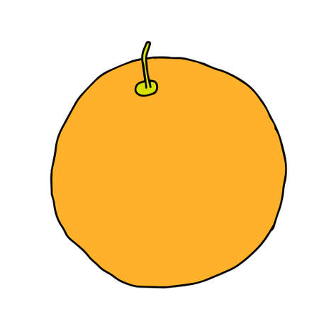 A Vector outline illustration of one fresh orange melon isolated on a white backgroundのイラスト素材