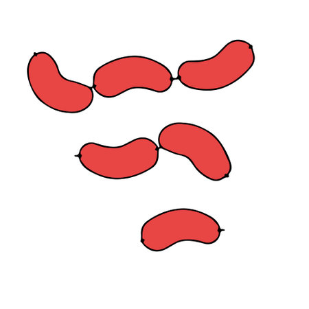 A Hand-drawn outline vector illustration of bunch of red short thick wieners isolated on a white background for breakfastのイラスト素材