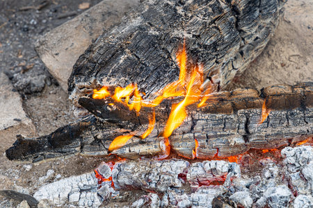 The Gray burning trunks for a bonfire are in a fireplace in the forest
