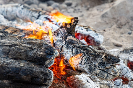 The Gray burning trunks for a bonfire are in a fireplace in the forestの写真素材