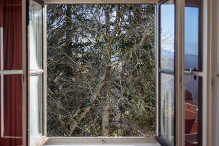 An open window in the autumn morning. Forest view