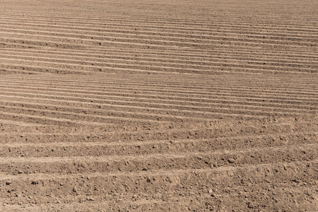 Beautiful brown empty field ready for planting vegetables for agriculture is outside