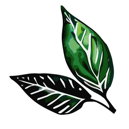 An Illustration of green leaves on a white backgroundのイラスト素材