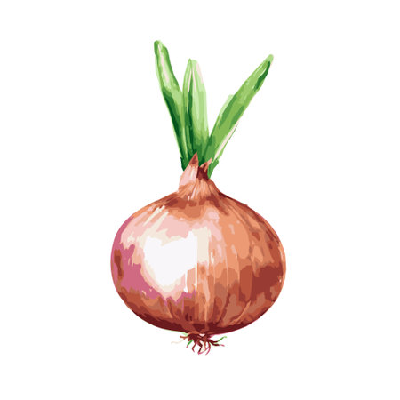 Vector illustration of an orange and green onion isolated on a white backgroundのイラスト素材