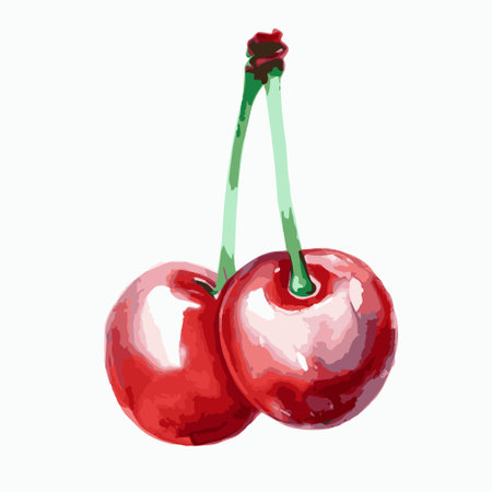 Vector watercolor illustration of pair of red cherries with green stems isolated on a white backgroundのイラスト素材
