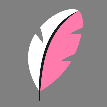 A Vector illustration of a white and pink feather isolated on a gray backgroundのイラスト素材