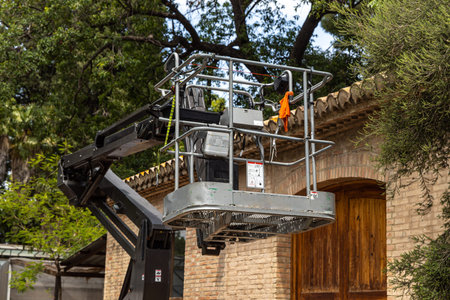 The machine tower For cutting green trees with an orange petrol hedge trimmer in the park in summer