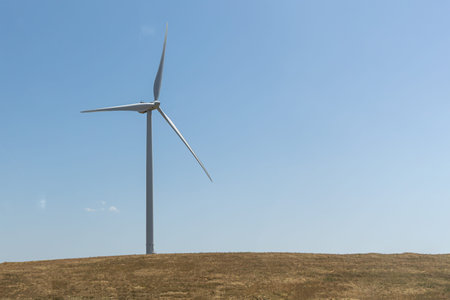 One white wind generator produces alternative energy by wind on the field