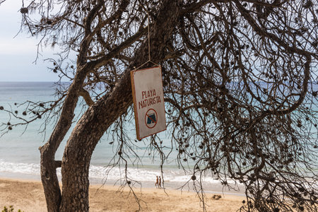 Fantastic view on the sea on the coast with sign with lettering in summerの写真素材