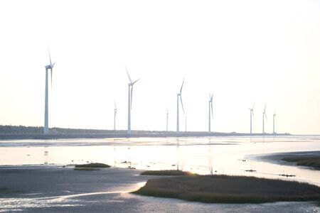 Wetland landscapeの写真素材