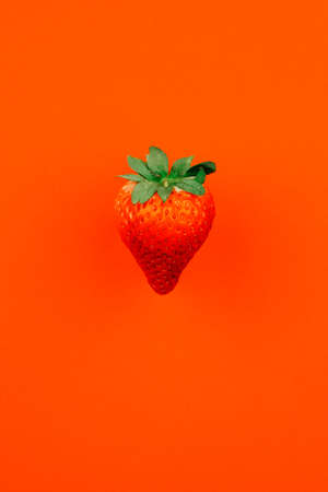 Strawberry on a red backgroundの写真素材