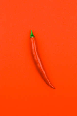 Chilli on a red backgroundの写真素材