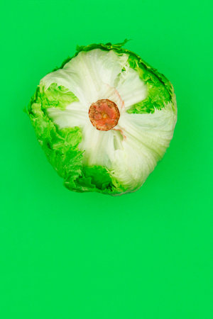 Head of lettuce on a green background