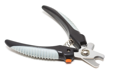 Isolated on white nail clipper for petの写真素材
