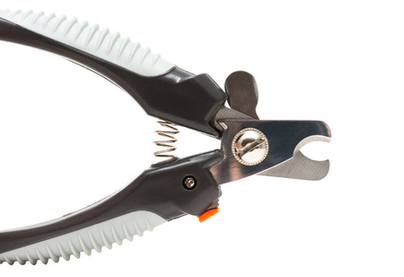 Isolated on white nail clipper for petの写真素材