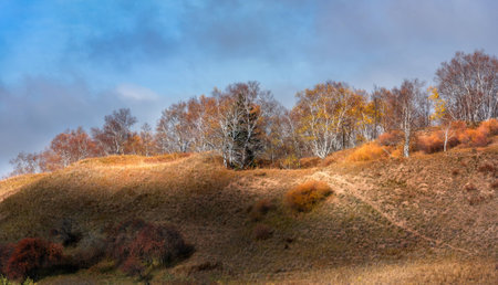 Grassland sceneryの写真素材