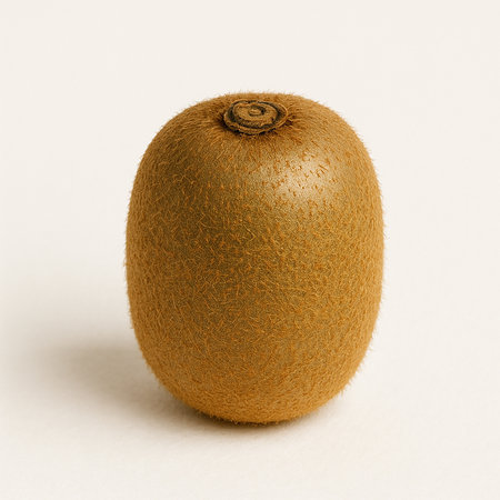 Kiwi fruit isolated on white background. 3D illustration.の素材