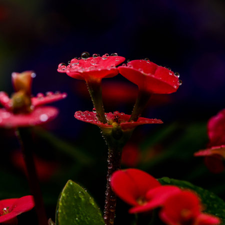 Plant macro