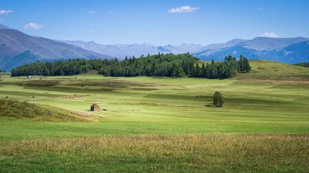 grassland sceneryの写真素材