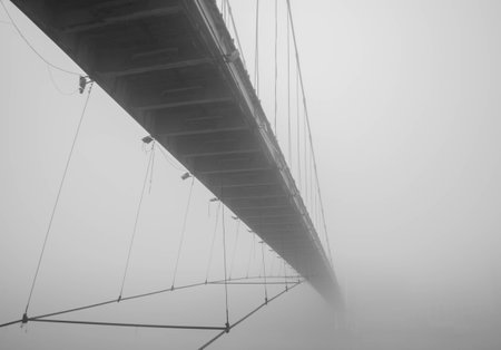 Suspension bridgeの写真素材