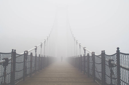 View of a suspension bridge covered in fog