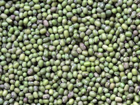 Grains of mung bean