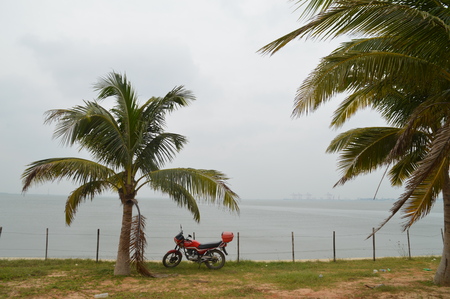 motorcycle under the treeのeditorial素材