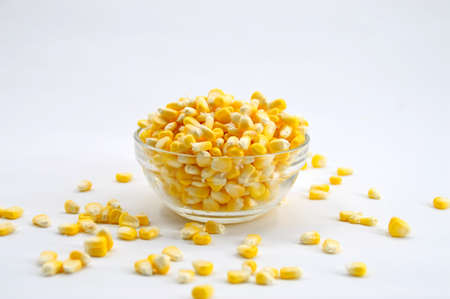 Corn grainsの写真素材