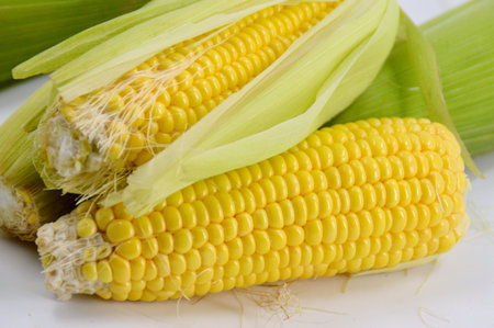Corn grains