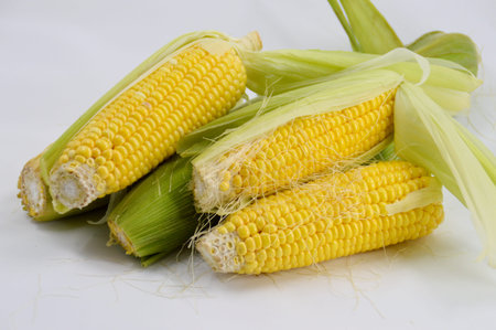 Corn grains