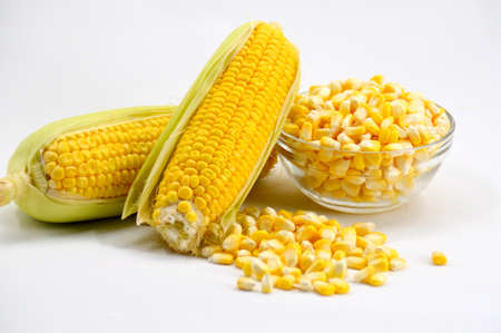Corn grainsの写真素材