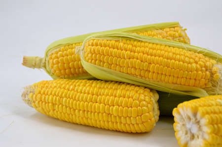 Corn grainsの写真素材