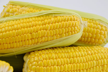 Corn grains