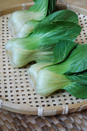 Fresh chinese cabbage (bok choy) isolated.の写真素材