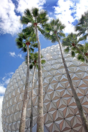 Palms Trees with a Modern Building behind