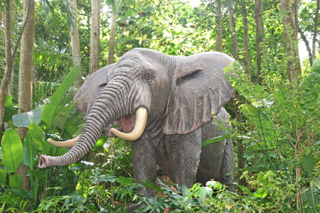 An elephant in the wild showing its trunkの写真素材
