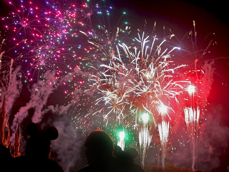 ORLANDO, FLORIDA - March 4, 2015 - The finale of the Wishes fireworks at Magic Kingdom, Walt Disney World.のeditorial素材